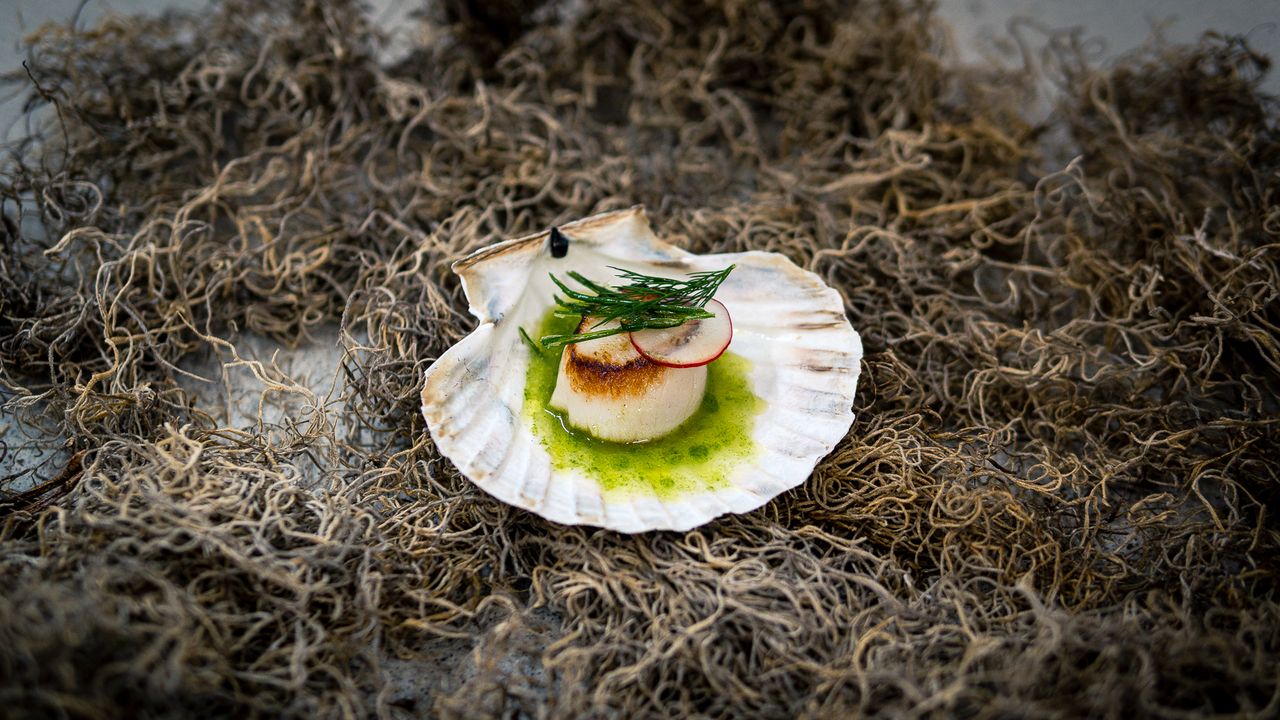 Romantik Hotel Platte Romantik Hotel Platte